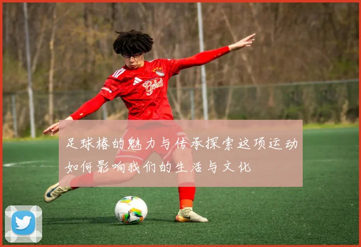 足球椿的魅力与传承探索这项运动如何影响我们的生活与文化