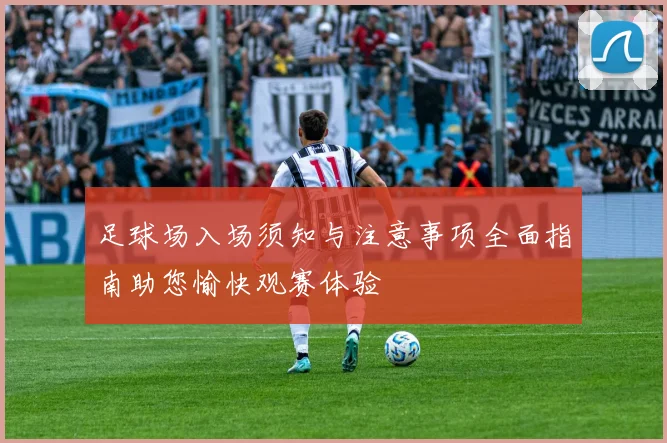 足球场入场须知与注意事项全面指南助您愉快观赛体验