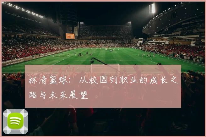 林清篮球：从校园到职业的成长之路与未来展望